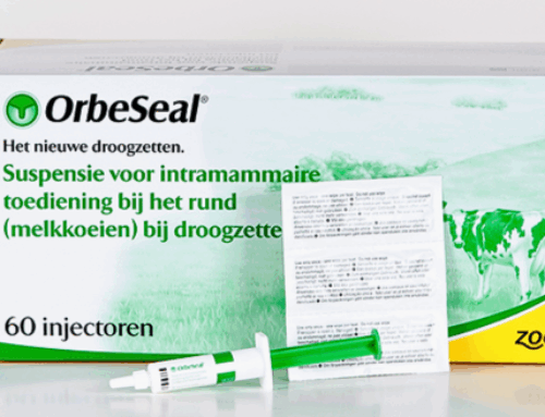 Richtlijnen droogzetten