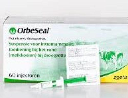 Richtlijnen droogzetten